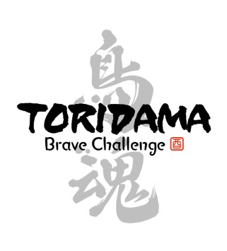 TORIDAMA: Brave Challenge Steam Key GLOBAL